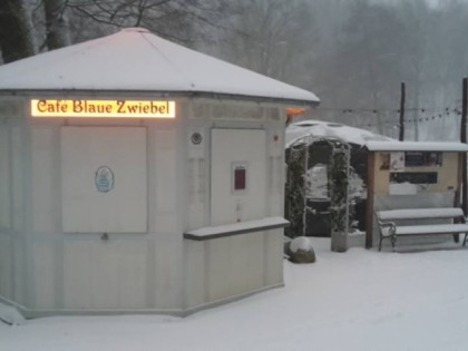 Foto: Blaue Zwiebel