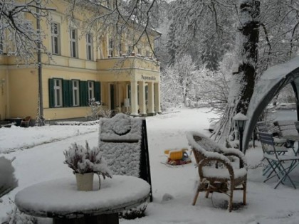 Foto: Blaue Zwiebel